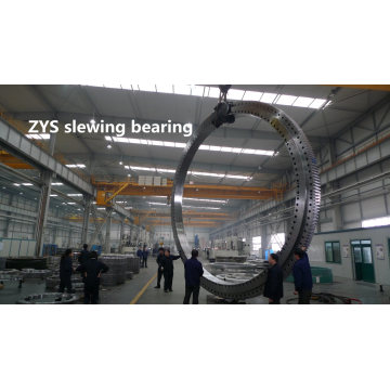 Zys Heavy Duty Machinery Crane Inner Gear Slewing Swing Bearing 010.45.1400